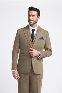 Man wearing a brown checkered suit with a blue tie on a white background